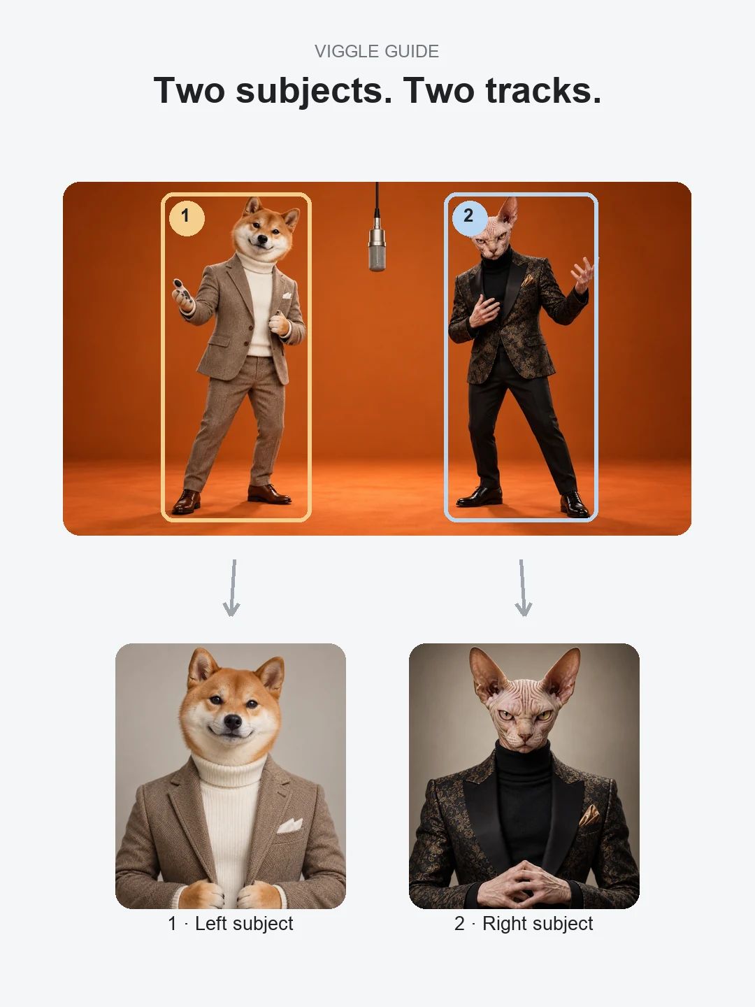 Illustrative Shiba Inu and Sphynx performers mapped to two numbered subject portraits